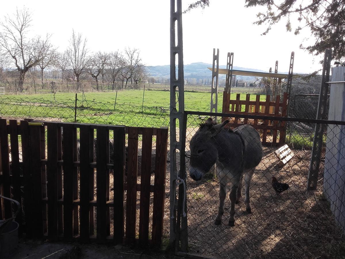 B&B La Quiete Foligno Kültér fotó