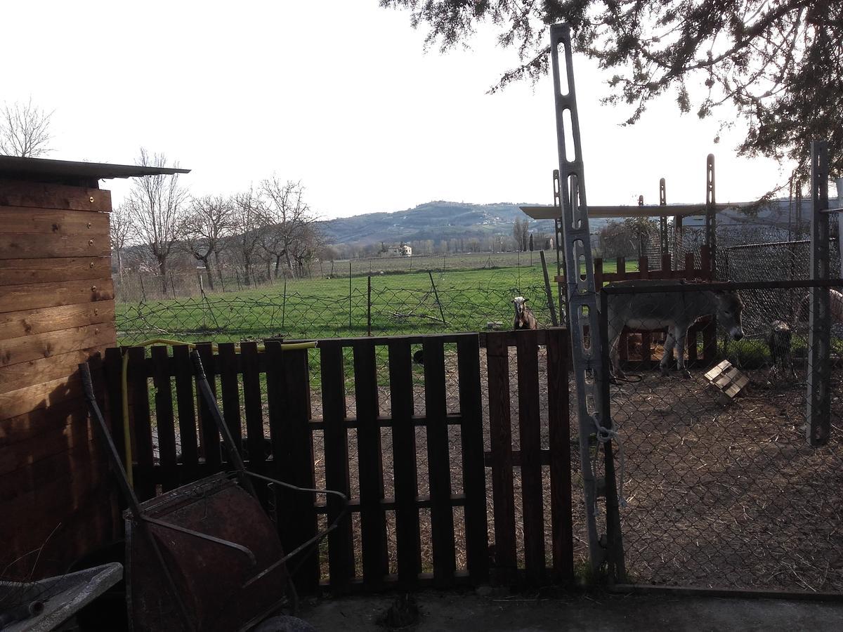 B&B La Quiete Foligno Kültér fotó