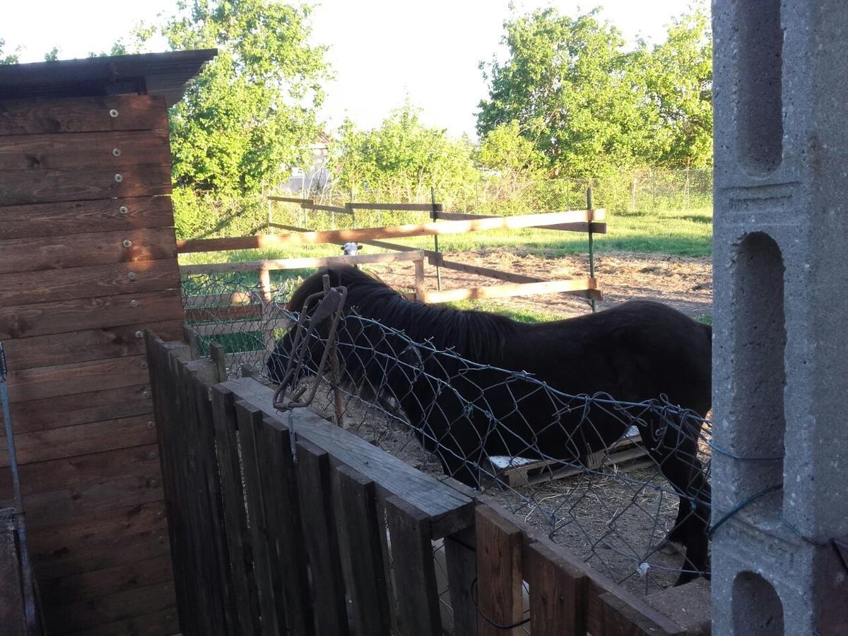 B&B La Quiete Foligno Kültér fotó